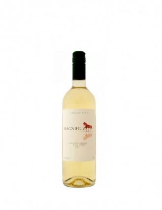 Magnifico - Sauvignon Blanc NV (750ml) (750ml)